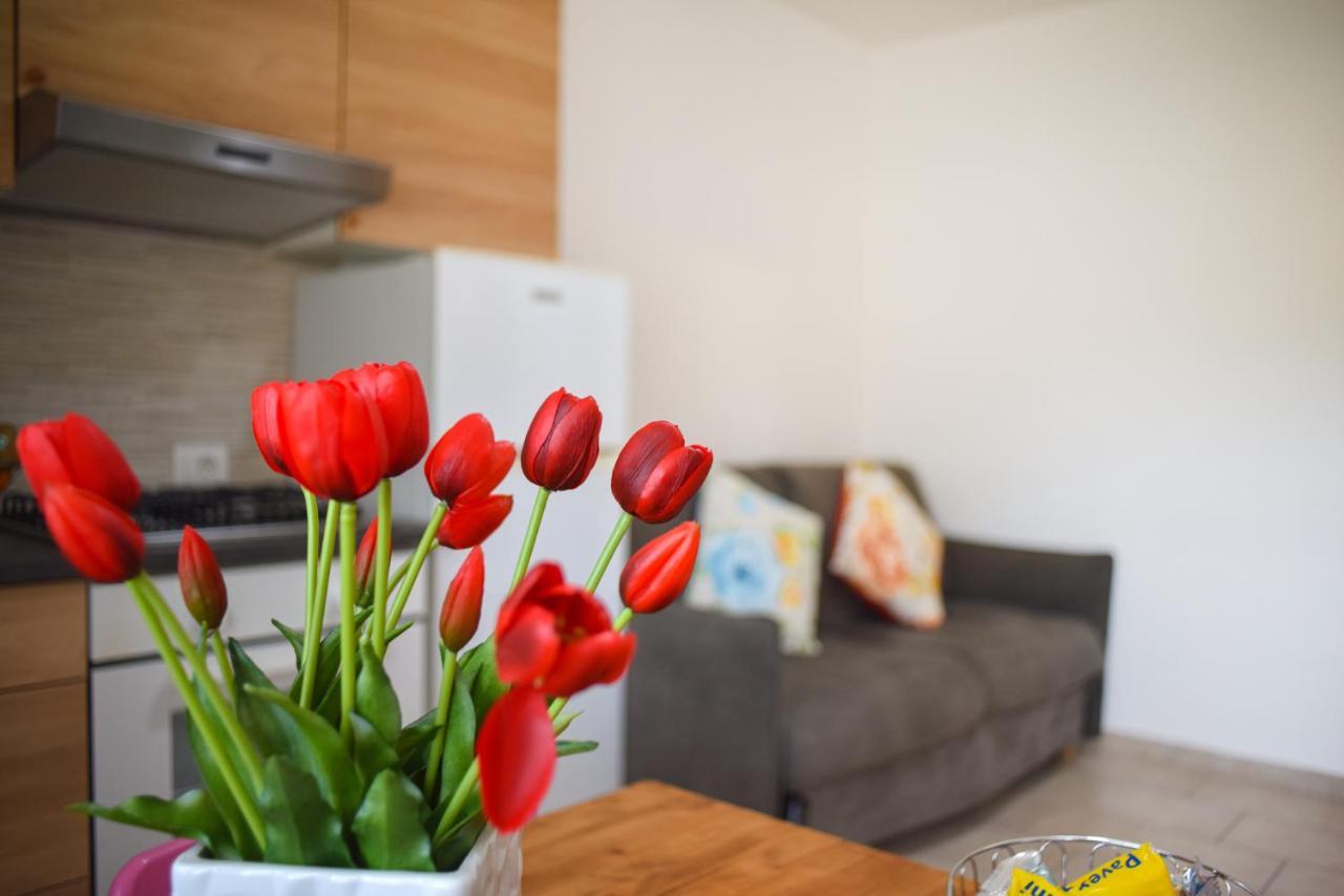 Porto Home Ίσκια Εξωτερικό φωτογραφία